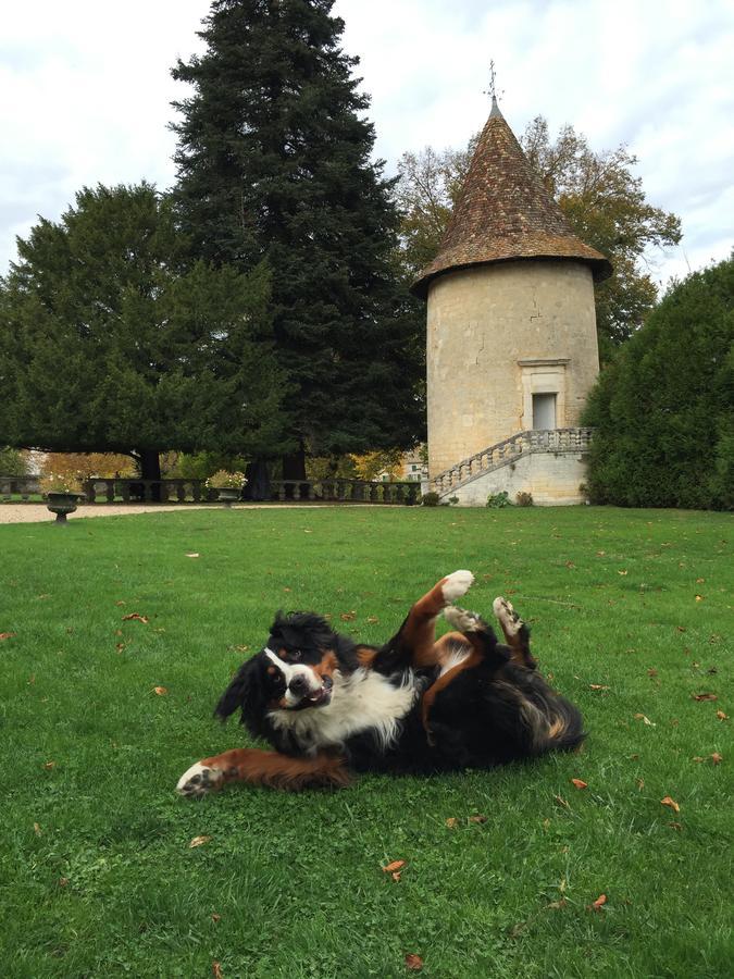 Chateau De Maumont Magnac-sur-Touvre Ngoại thất bức ảnh